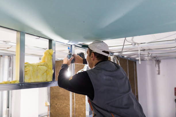 Best Insulation Maintenance and Repair in Mount Healthy, OH